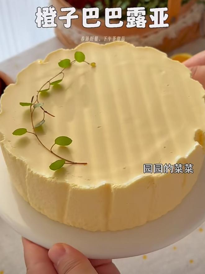 橙子巴巴露亚