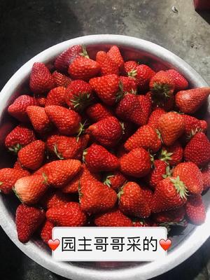 草莓酱（存放一年）