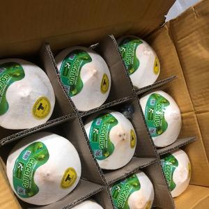 简单美味的自制椰奶，椰青喝完再利用(附取椰肉技巧)