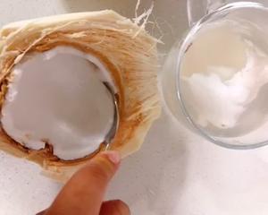 自制椰浆椰奶（简单又经济）