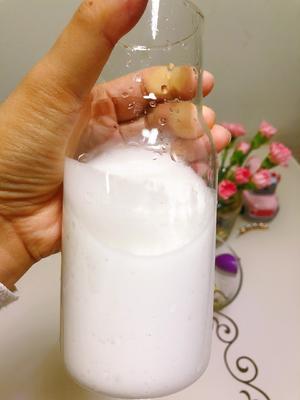 自制椰浆椰奶（简单又经济）