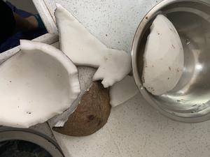 5分钟快取椰肉 智取椰子肉    椰子控必备*罒▽罒*