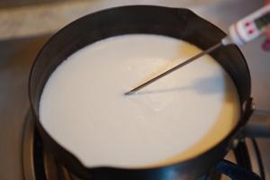 奶香椰奶冻🥥｜超简单