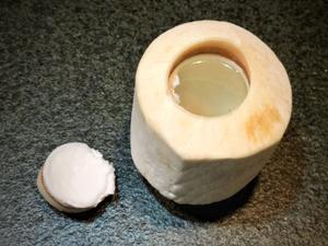 零失误的椰子鸡
