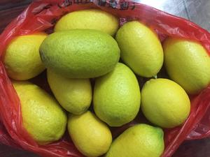 柠檬汁保存方法
