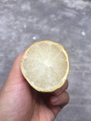 柠檬汁保存方法