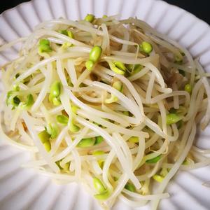 一上桌就会被哄抢光的，爽口凉拌菜豆芽粉丝