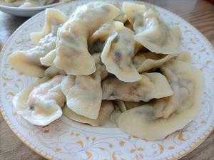 素饺子的极致美味 西葫芦鸡蛋饺子