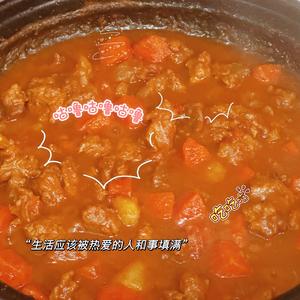 春天猛涨食谱：番茄土豆炖牛腩
