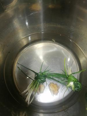 茶树菇炖老鸭