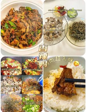 8款鸭子做法