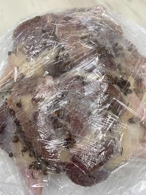 首次成功的盐水鸭腿