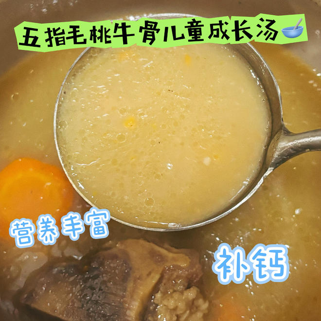 五指毛桃牛骨儿童成长汤🥣