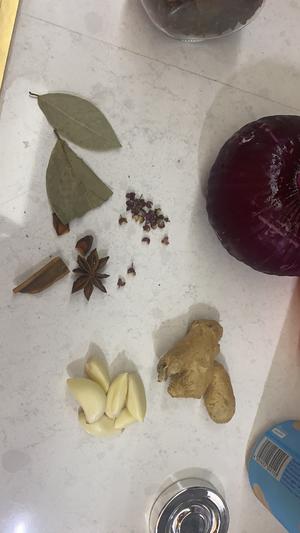酱牛腱子（简单的才是最好的）