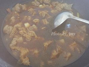 萝卜焖牛腩 （好吃得可以摆摊了）