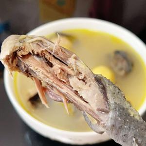 板栗黄萝卜老种乌鸡汤(乌皮老母鸡汤)