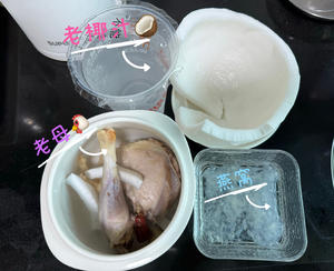 椰汁燕窝炖老母鸡汤