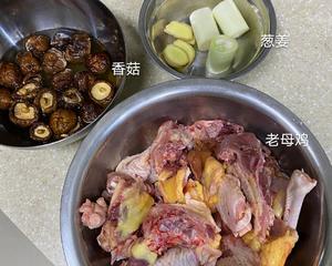 砂锅老母鸡汤，超简单教程～！