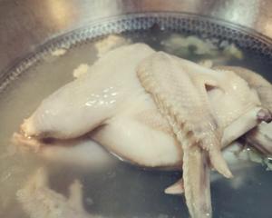 懒人包鲜嫩白切鸡三黄鸡
