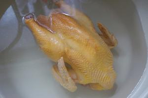 白斩鸡