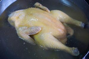 白斩鸡