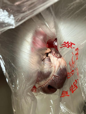 凉拌猪心，治失眠。一学就会。