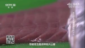 猪腰子不臊的秘诀