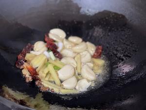 肥肠炖豆腐