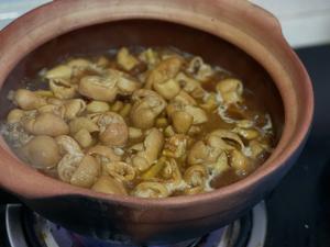 肥肠炖豆腐