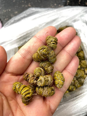 有手就会‼️青橄榄石斛猪骨汤🫒