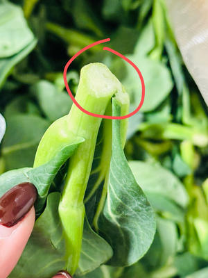 快手菜：菜苔炒牛肉