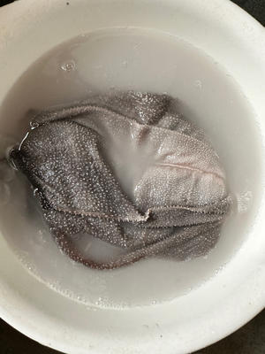牛百葉