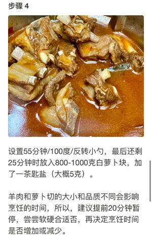 红烧羊排 (萝卜烧羊肉）