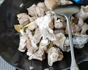 红烧羊肉煲