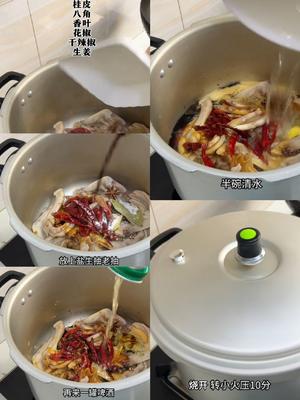 江西辣鸭掌