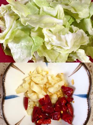 ❗拿肉都不换的手撕包菜，5分钟快手家常菜🔥