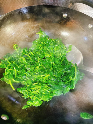 嫩嫩的豌豆苗