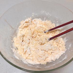 蒙古奶酪饼
