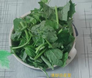 上汤白花菜