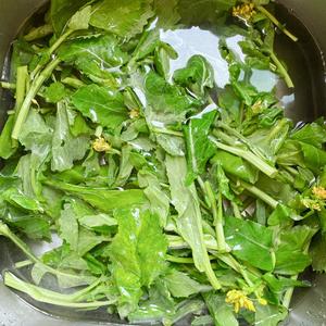 油菜苔这样炒来吃，真的比肉香！