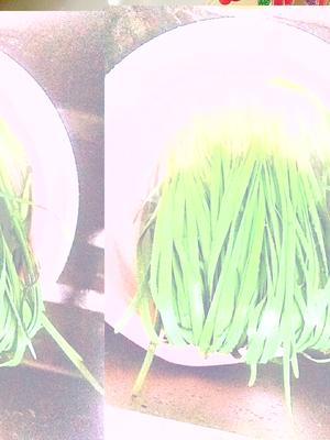 韭菜炒素鸡