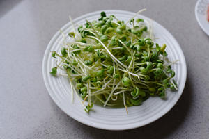 鲜烫豆苗菜