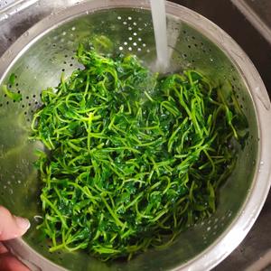 上汤皮蛋豆苗
