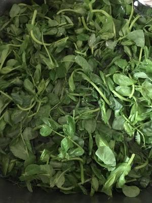 蒜蓉炒荷兰豆苗
