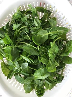蒜蓉炒荷兰豆苗