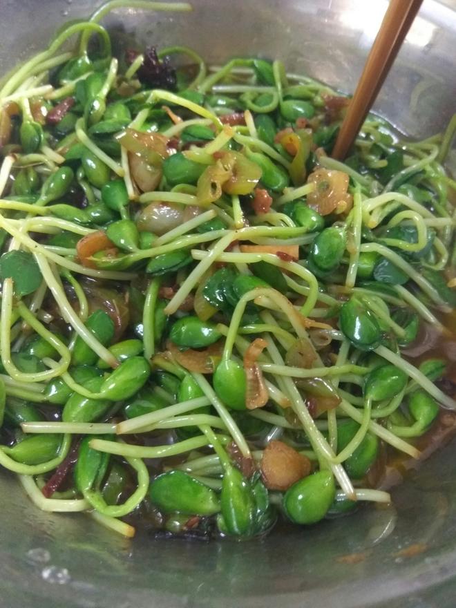 辣炒豆苗