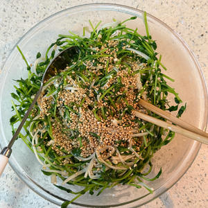 春季时令菜：芝麻豆苗