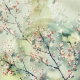 兔子厨房